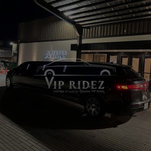 Why Executives Prefer Vipridez for Business Transportation